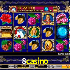 8casino Brasília - VIP Program